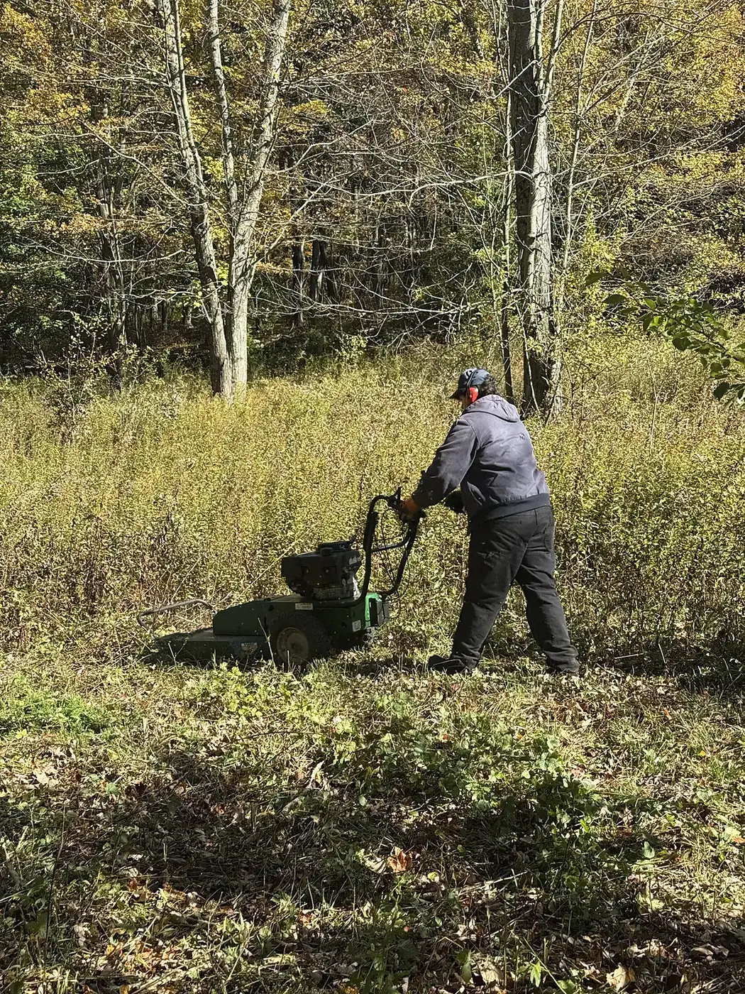 Before: crew member pushing a brush mower through tall, thick brush
