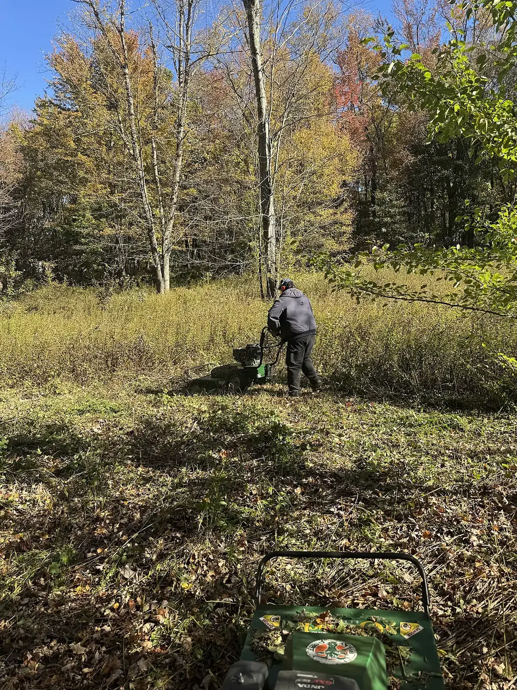Trinity Point crew member pushing a brush mower into tall overgrowth with fall trees behind