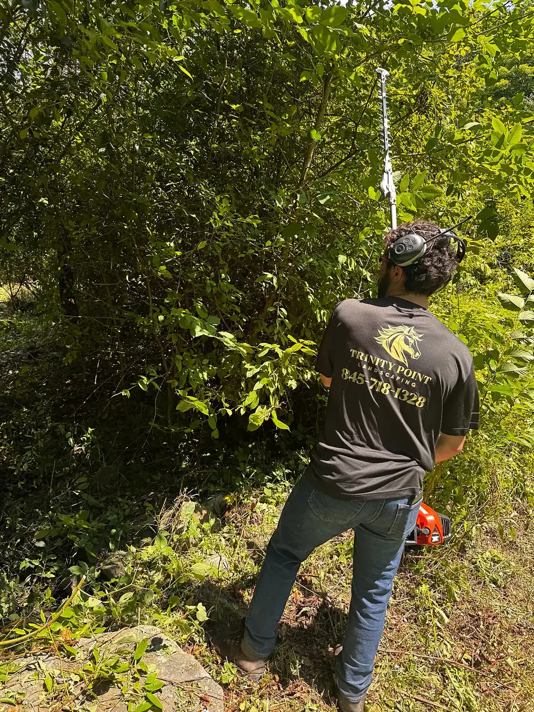 Crew member in a Trinity Point shirt trimming tall brush with a pole trimmer