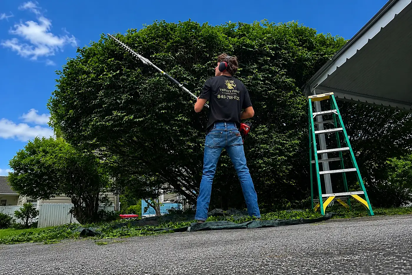 Timothy trimming a large shrub with a pole hedge trimmer