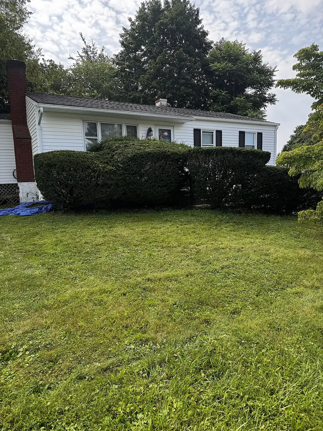 Front of a house with freshly trimmed shrubs and a mowed lawn